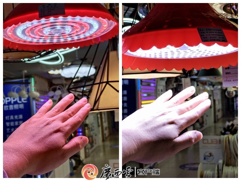 左图为“生鲜灯”照明,右图为白炽灯照明。
