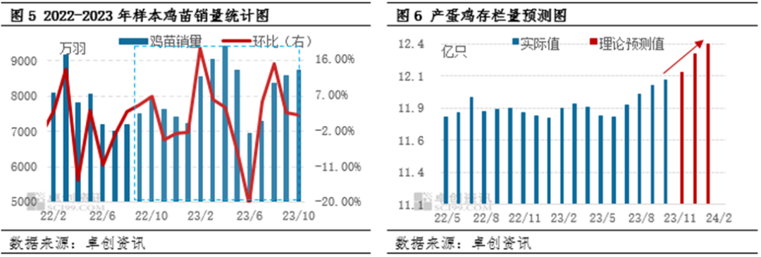 蛋价飞涨蛋价坚守“4元”以上，明年价格水平或降低？,第5张