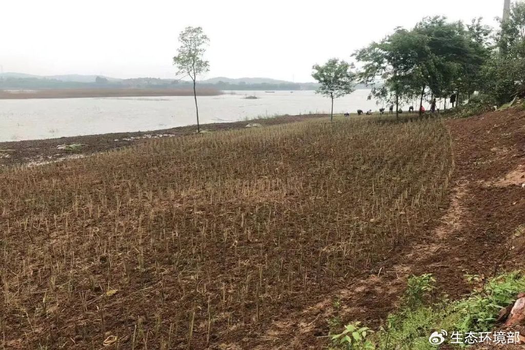 大溪水库上游洙漕河整治前