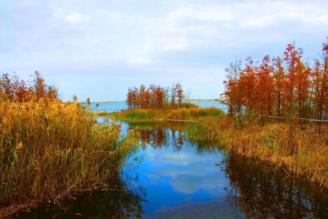 树是翘舌音 00ce-3c0a4d84998a92ea2c86f01cfaf77c09.jpg