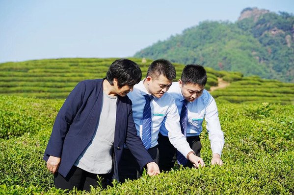 图为农行福建南平武夷山支行工作人员走访茶企,对接金融需求。(农行福建分行供图)