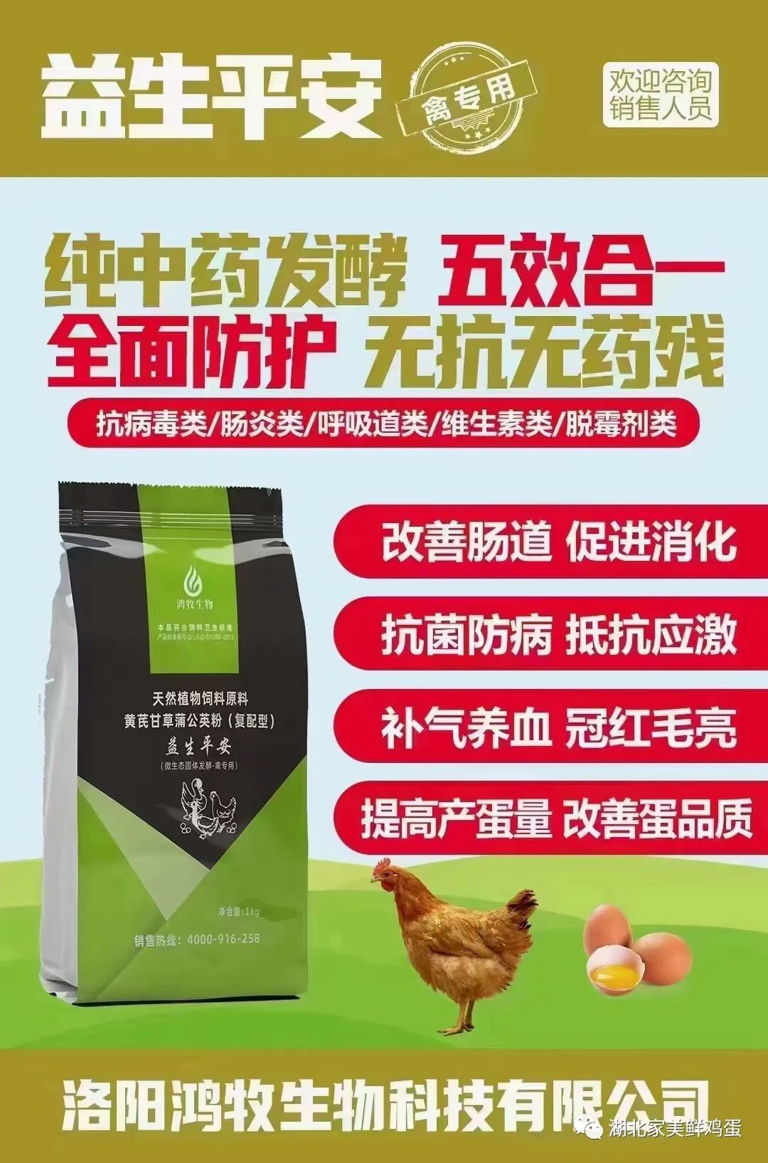 纯中药发酵 | 益生平安(蛋禽)-为养殖创富保驾护航