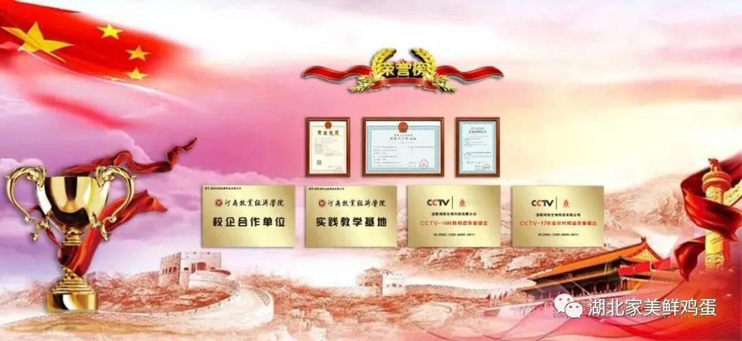 纯中药发酵 | 益生平安(蛋禽)-为养殖创富保驾护航