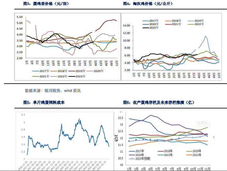 关联品种鲜鸡蛋所属公司：银河期货