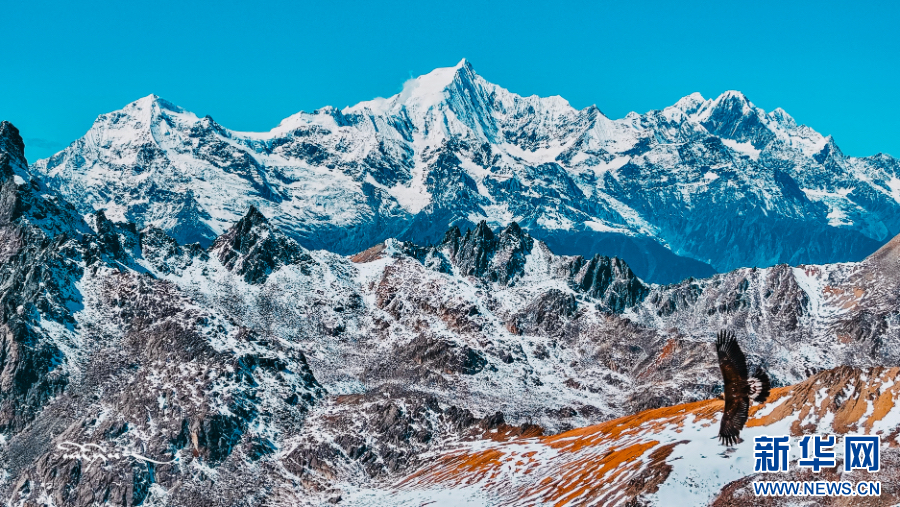 西藏最高峰是哪个峰 1e81-fecf535bec806b3b6d6cdce27115404e.png