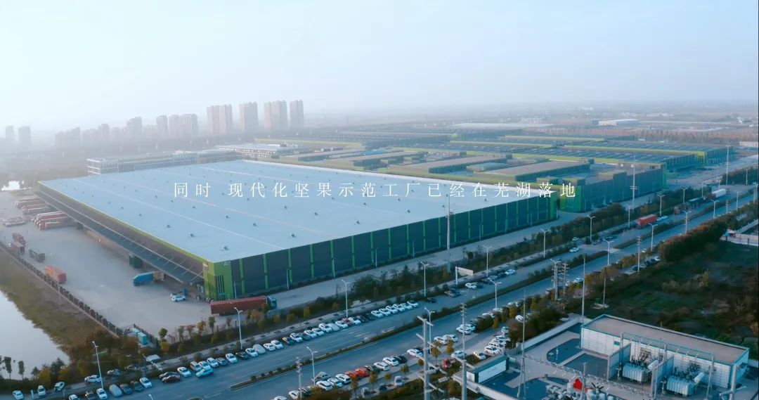 三只松鼠的核心竞争力，是足够笨