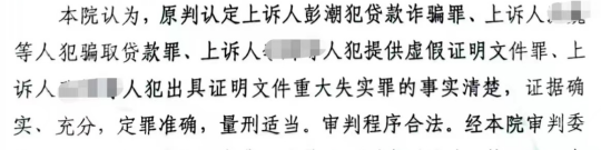 图片来源:二审刑事裁定书截图