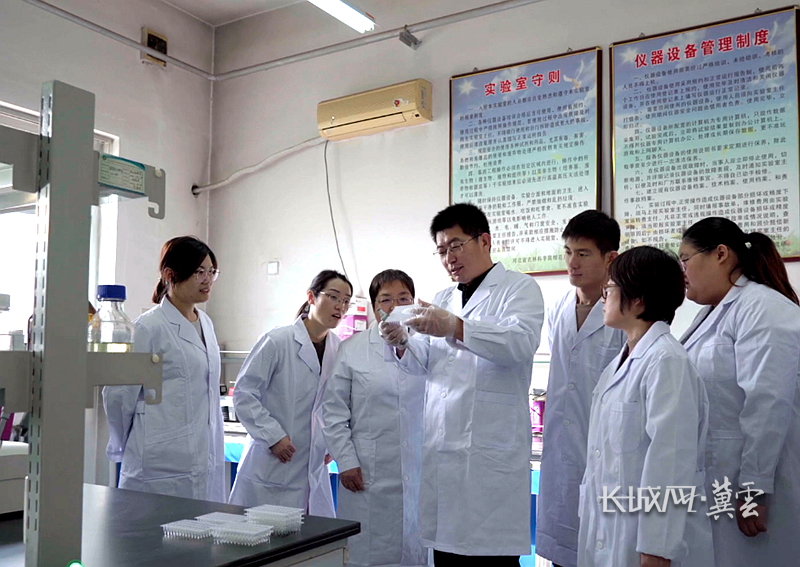 棉花研究所分子育种研究团队在实验室讨论研究。河北省农林科学院 供图