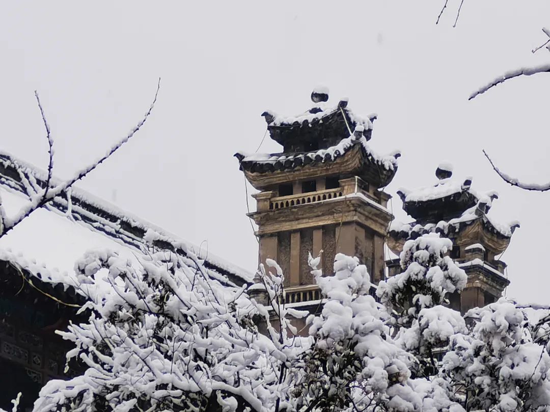 雪中的河南大学。图/图虫创意