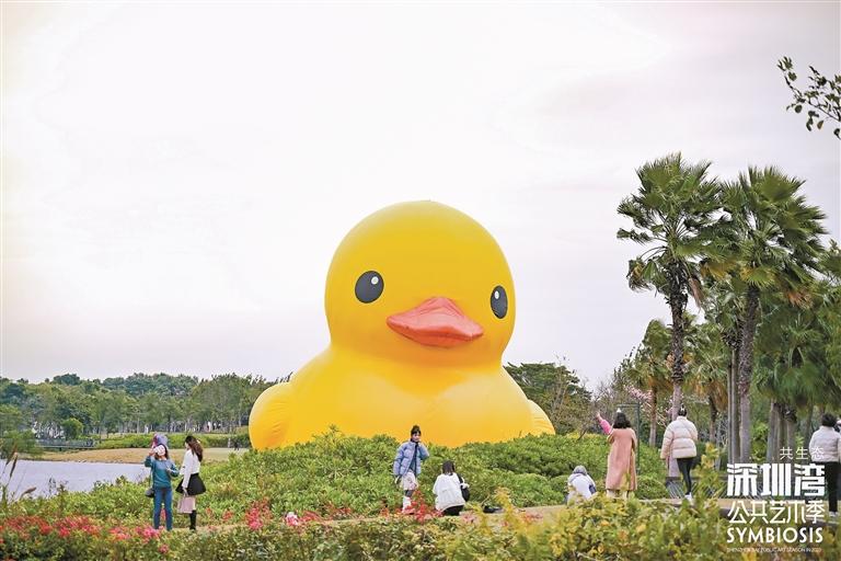 霍夫曼巨型大黄鸭遨游深圳湾,引来市民打卡。 (主办方供图)