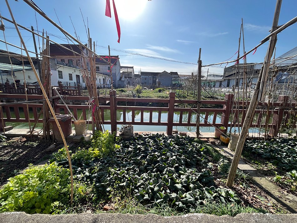 小湾村实景图