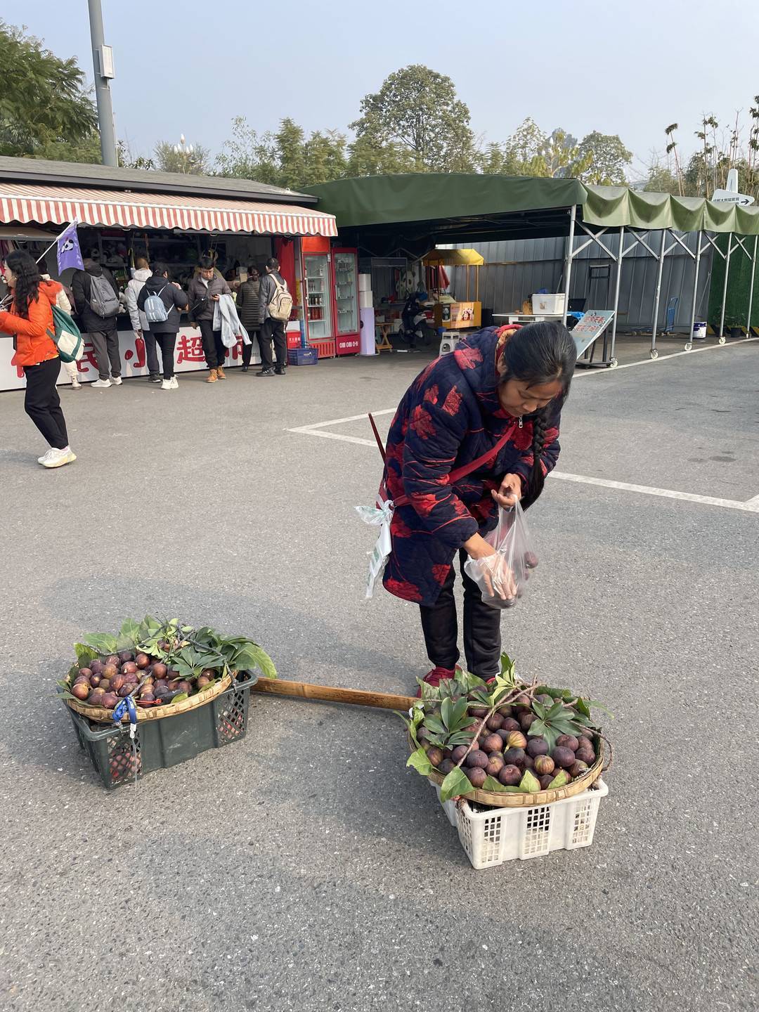 谢洪英正在卖无花果