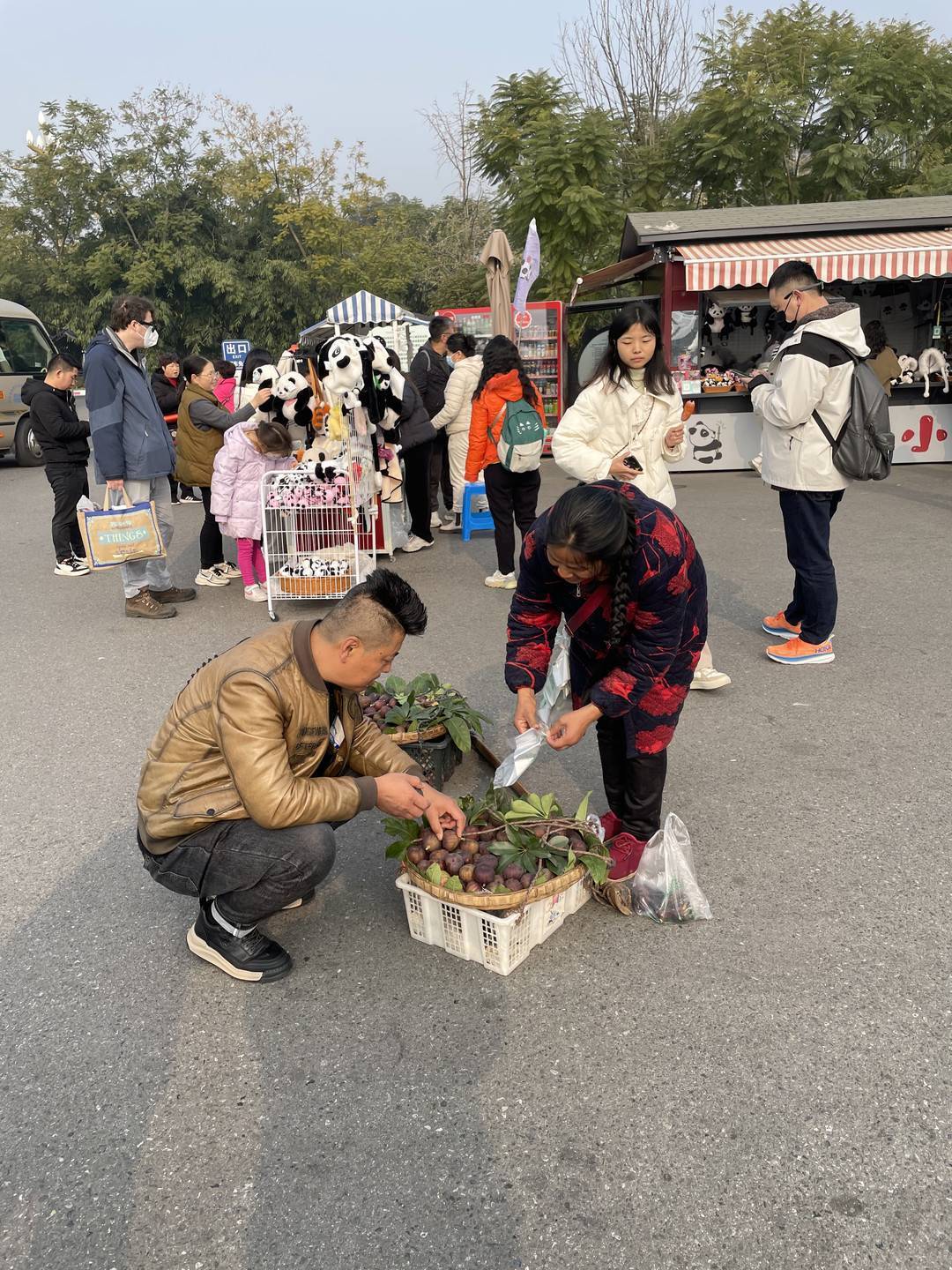 谢洪英正在卖无花果