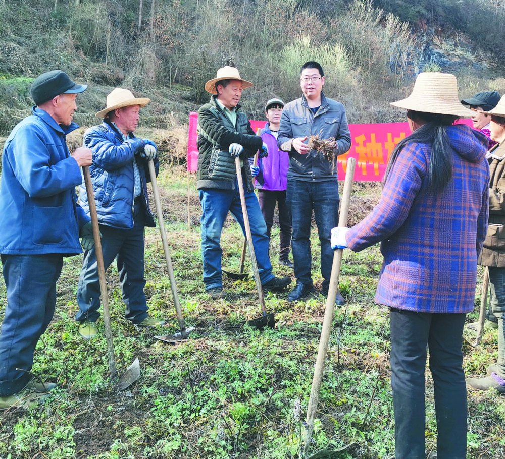 周益权(左四)为村民仔细讲解中药材种植要领