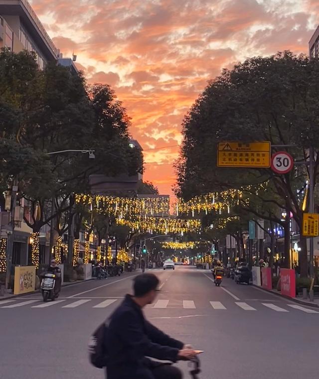 傍晚的大学路。 胡幸阳 摄