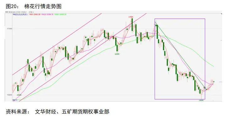 商品期权后面的数字是什么意思年报|商品期权：“权”线出击，“期”放异彩,第27张