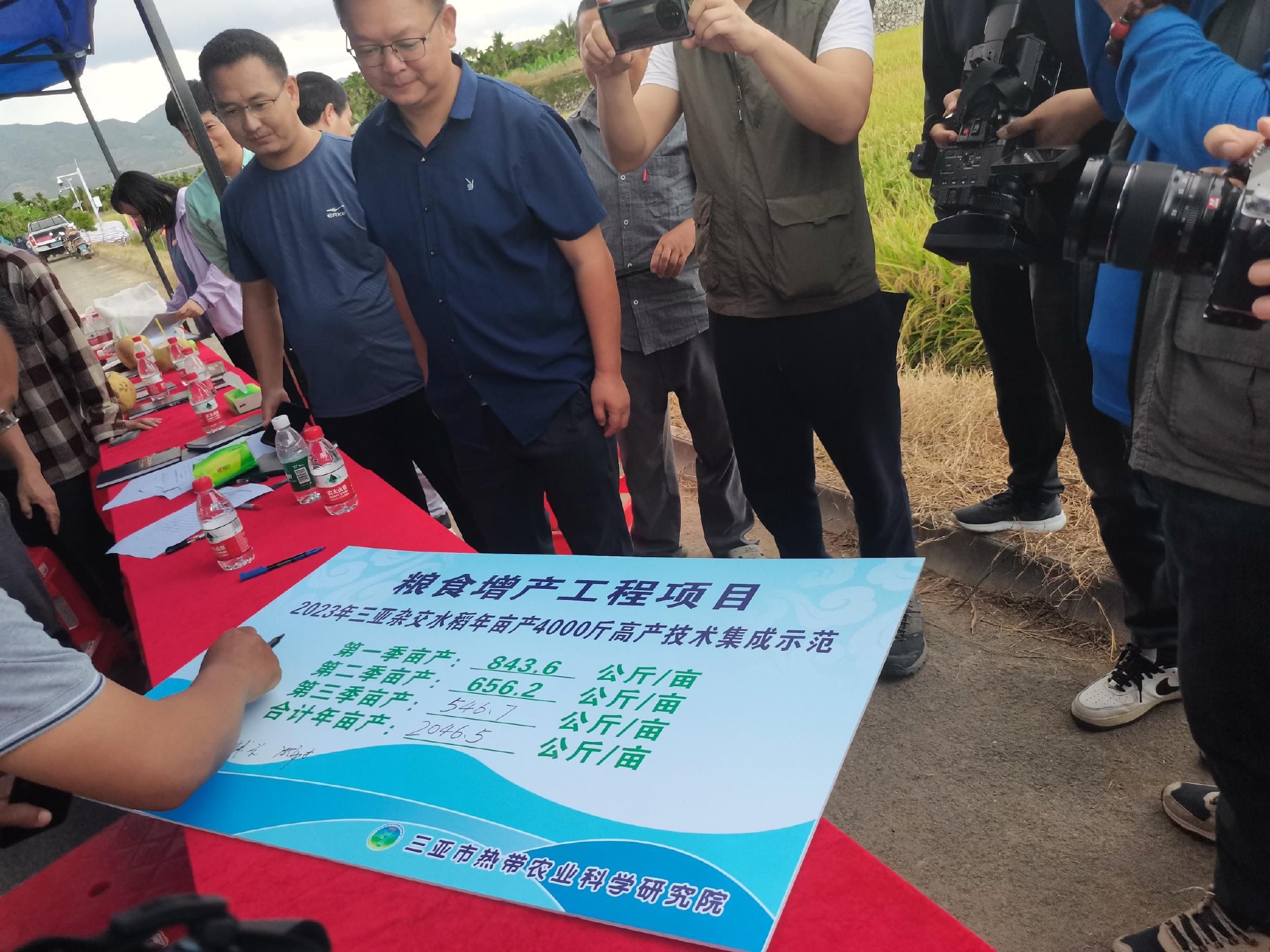 12月30日下午,2023年三亚杂交水稻年亩产4000斤高产技术集成示范项目第三季测产。记者 利声富 摄