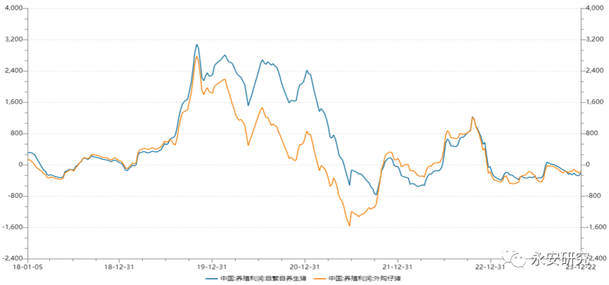 生猪中心永安研究丨生猪：重心上移似共识重点关注预期差,数据来源：wind,第4张