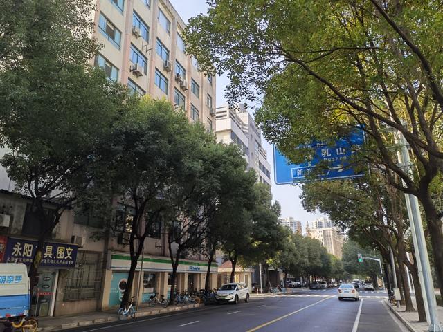 △尚海郦景的居民们称,商城路上的香樟树遮蔽路灯、路牌的情况也颇为严重。