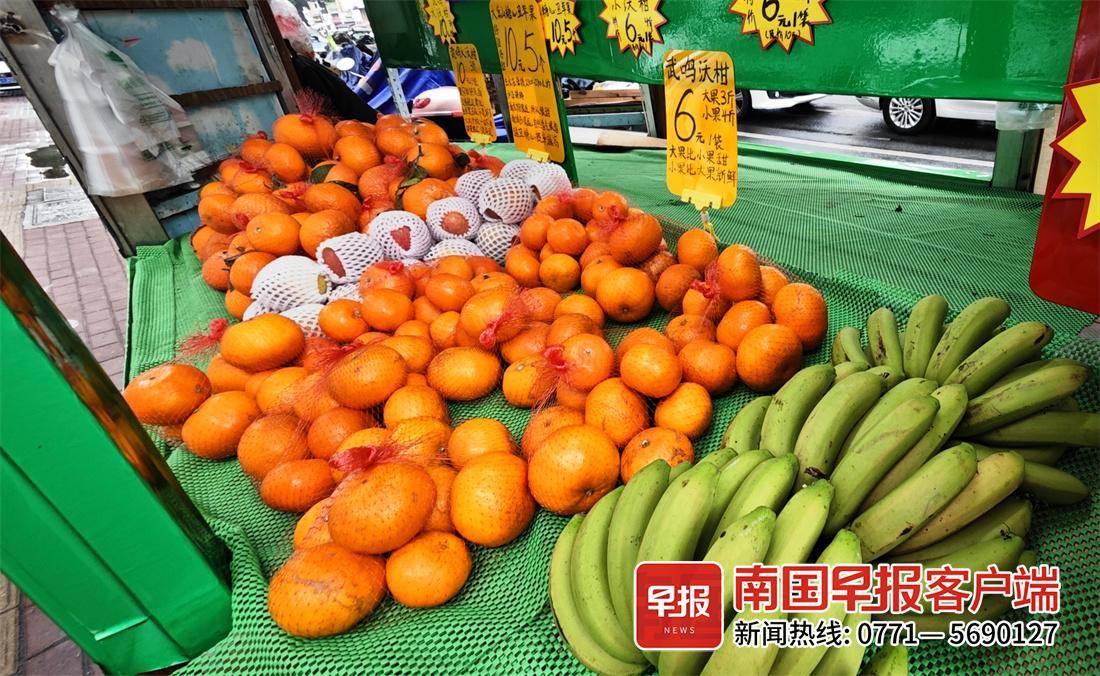 柜台摆放着多种本地时令水果卖。记者 何定坚 摄