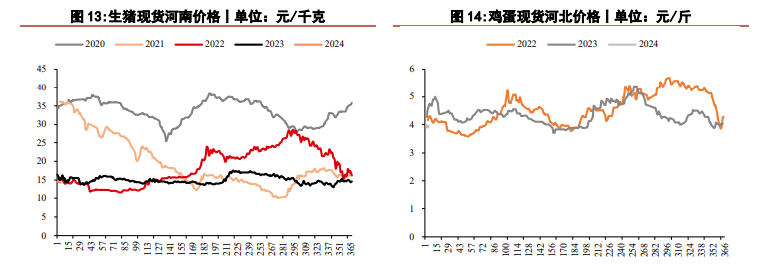 生猪价格仍将偏弱运行 鸡蛋盘面短期震荡为主