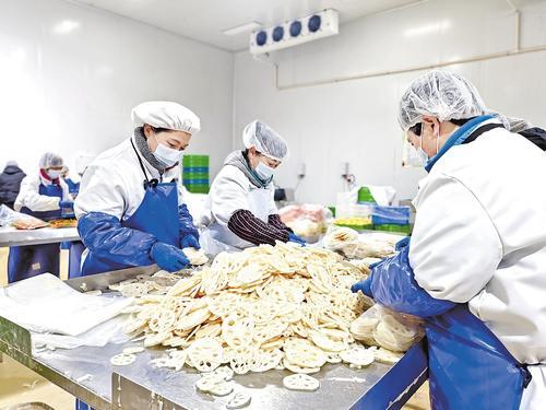     1月3日，在定州市鲜洁农业科技有限公司的净菜加工车间，工作人员忙着加工净菜。  河北日报记者 郝东伟摄