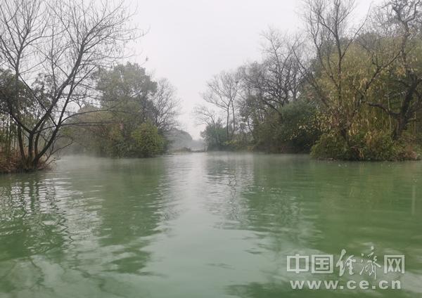 2023年12月18日,西溪湿地国家公园一隅,细雨之中,绿意盎然,水汽袅袅,宛如仙境。(中国经济网记者 武晓娟/摄)
