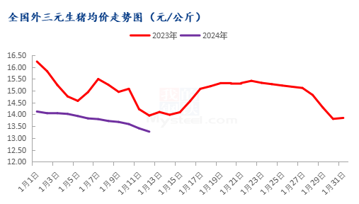 Mysteel解读：行情持续低迷  春节前猪价仍或低位