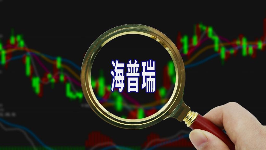 海普瑞 IC 资料图