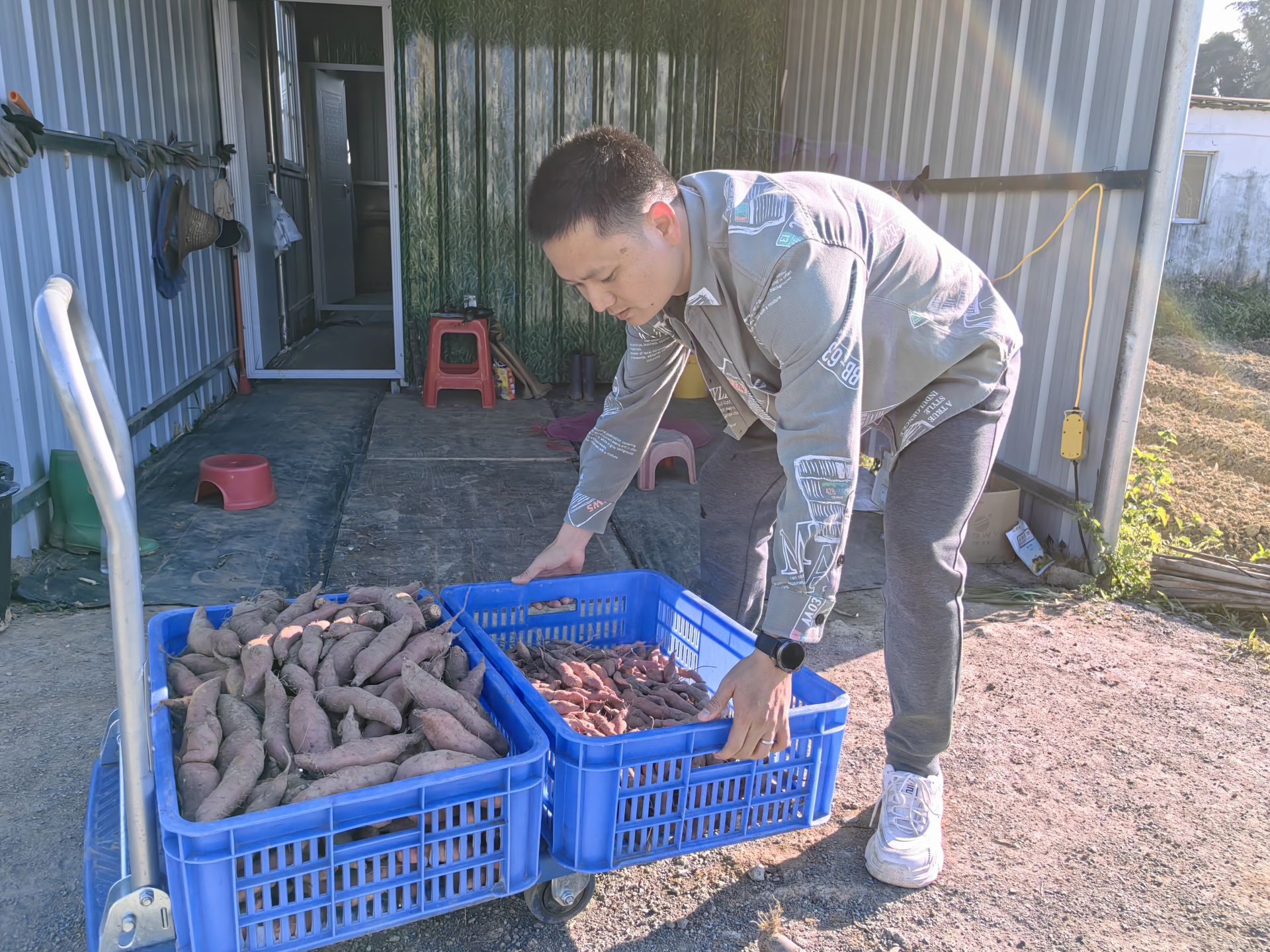 党建课堂在田间收获