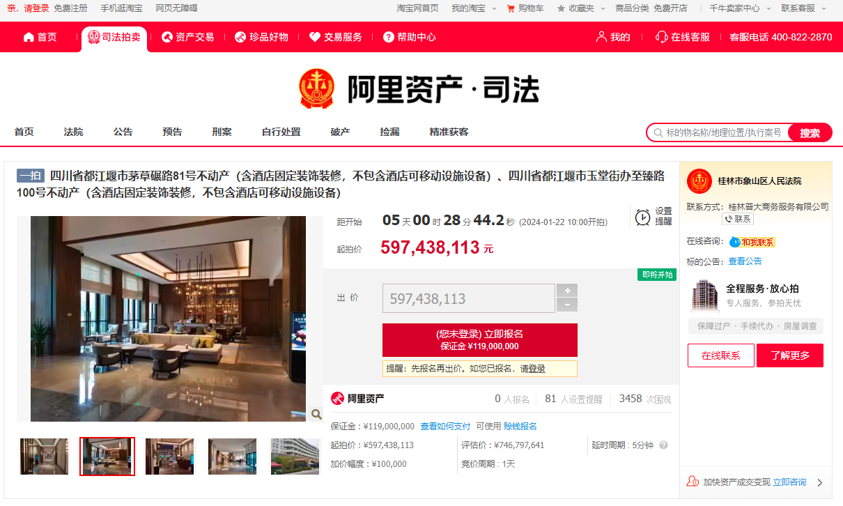 (图源:阿里资产.司法网站)