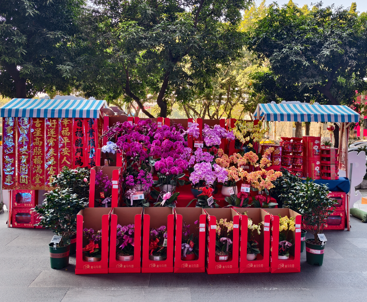 (图:广州天河区街头,盒马年宵花快闪店)