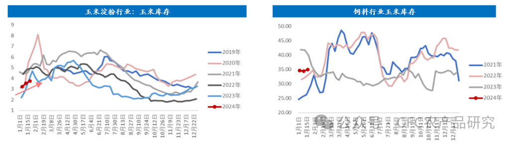 玉米继续下跌建投专题·跌跌不休，怎么看今年的玉米底部？,来源：上海钢联，中信建投期货,第4张