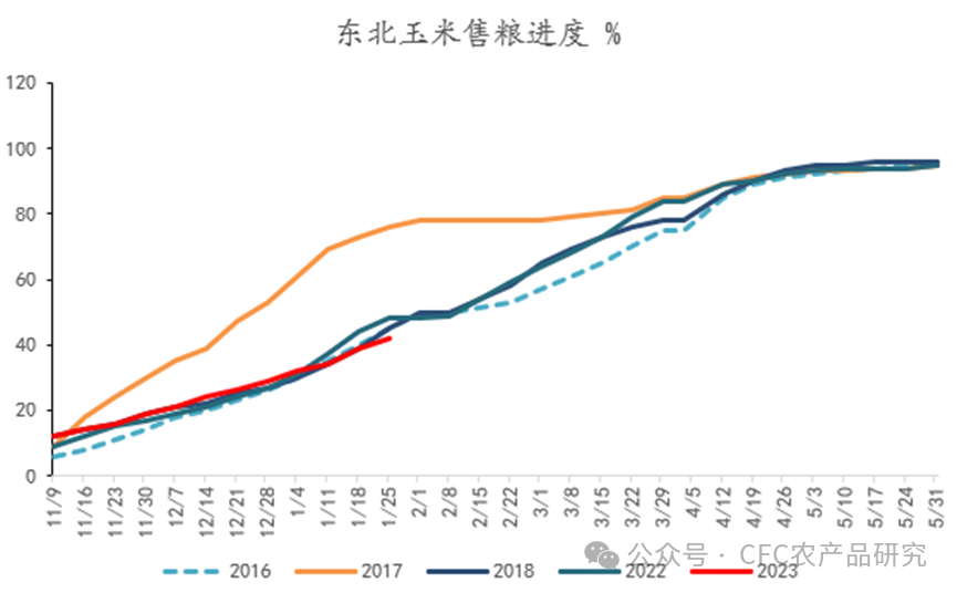 玉米继续下跌建投专题·跌跌不休，怎么看今年的玉米底部？,来源：上海钢联，中信建投期货,第8张