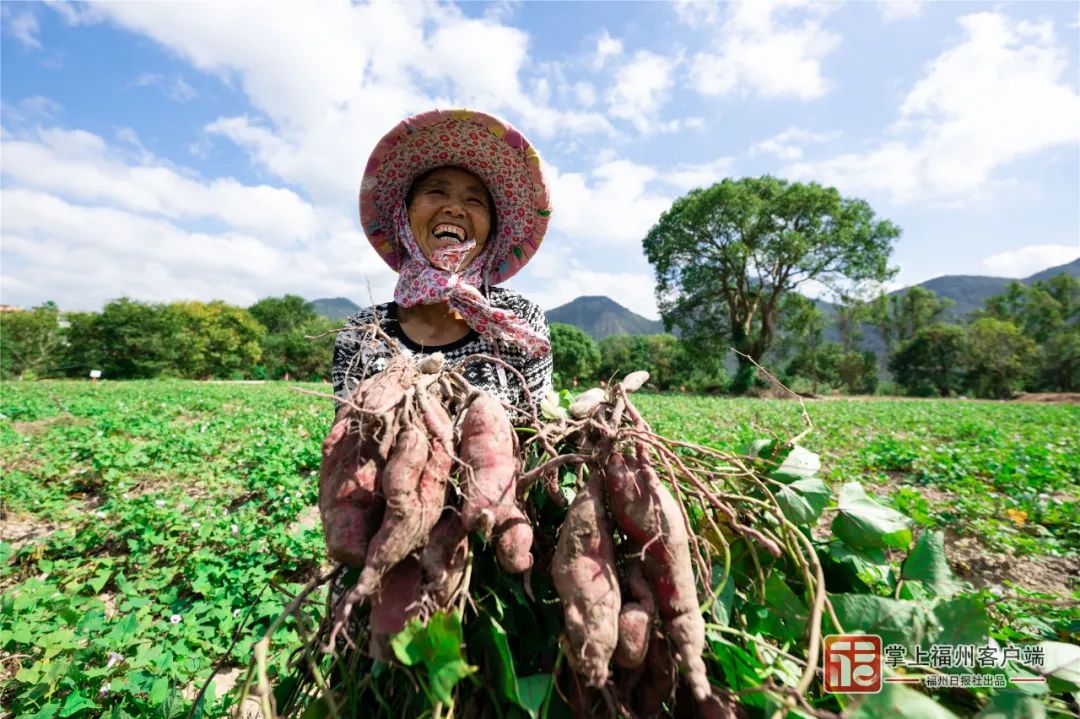 林双伟 摄