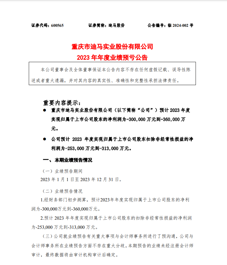 (图源:重庆市迪马实业股份有限公司)