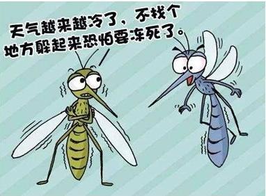 我梦见蝙蝠咬我，梦境背后的深层含义与解析