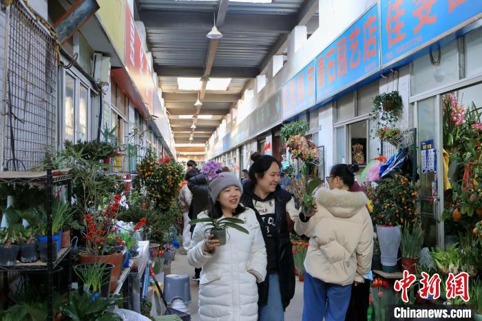 　　在浙江凤起花鸟城购物的顾客。鲍梦妮摄