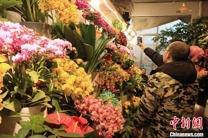 　　某店内鲜花品种丰富。鲍梦妮摄