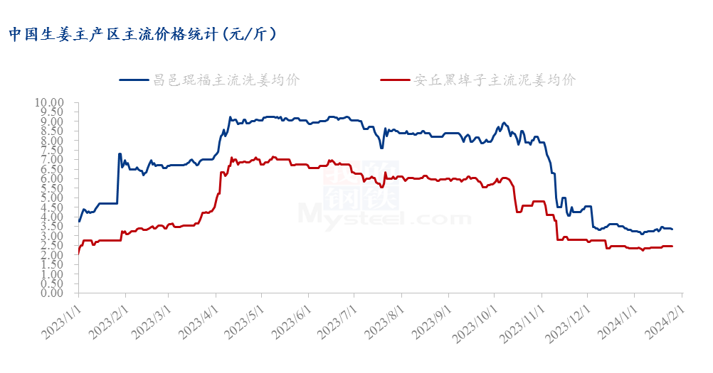 生姜下半年的行情如何?Mysteel节后预测：节后生姜价格或先硬后弱,第1张