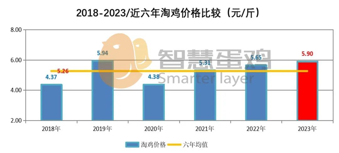 2021年蛋鸡行业市场‖2023中国蛋鸡市场年度报告及2024年度展望,第11张