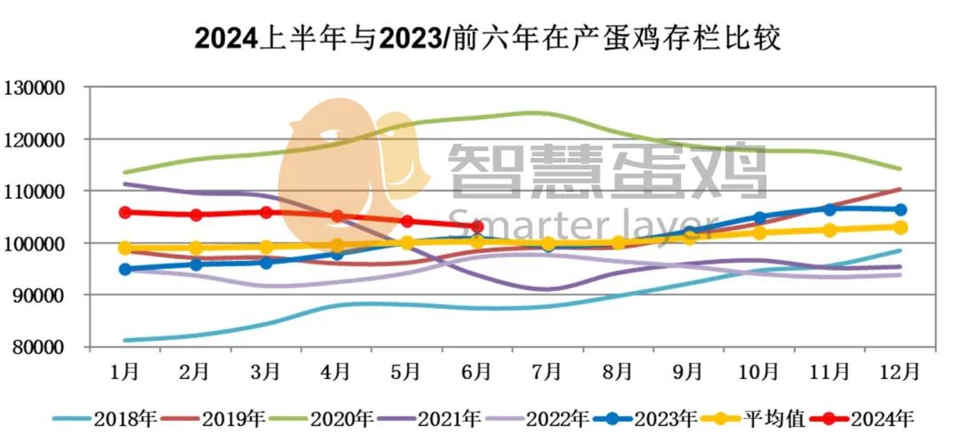 2021年蛋鸡行业市场‖2023中国蛋鸡市场年度报告及2024年度展望,第21张