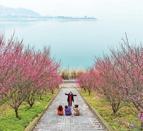 泗洪梅花镇游玩攻略作文,泗洪县梅花镇景点