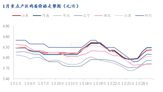 Mysteel解读：本月鸡蛋市场重点主产区行情汇总