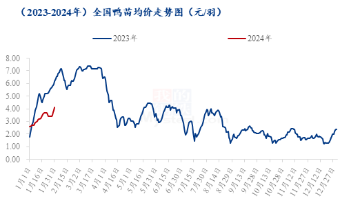 Mysteel解读：鸭苗强势上行，春节前后走势预判