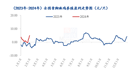 Mysteel解读：青脚麻鸡价格大幅上涨，养户终于迎来春天