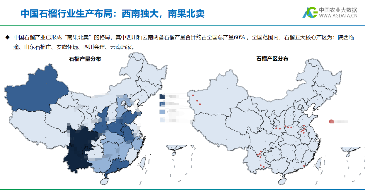 2023年中国石榴产业研究报告