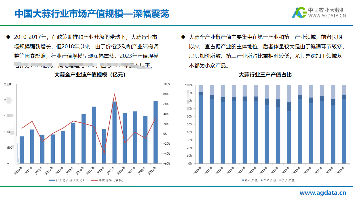 2024年中国大蒜产业研究报告