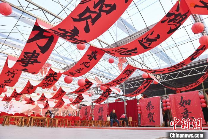 民众在长沙新春花市中感受年味。杨华峰 摄