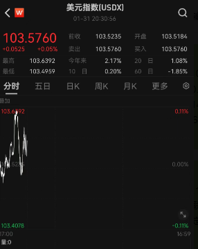 今日汇市晨报（2024年2月1日）：人民币兑美元中间价报7.1049，较前贬值10个基点